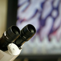 Líneas de investigación